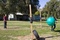 photo 8 du film jackass 3D