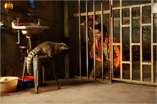 jamel-en-prison-jpg