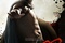300-rise-of-empire6-jpg