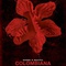 affiche-teaser-jpg - Colombiana 