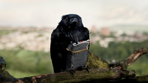 photo 8 du film we are four lions