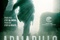 Affiche du film Armadillo 