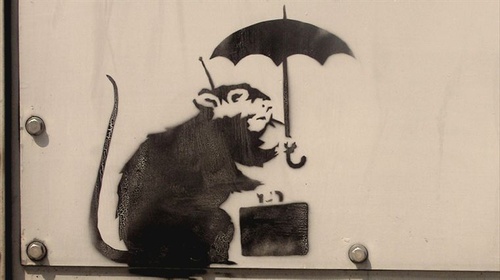 photo du film faites le mur