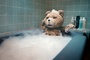ted-dans-le-bain-jpg