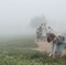 photo du film nos r sistances - Nos résistances 