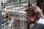 matt-damon-face-a-un-tigre-jpg