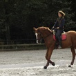 marina-hands-a-cheval-jpg