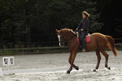 marina-hands-a-cheval-jpg