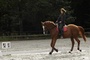 marina-hands-a-cheval-jpg