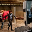 marina-hands-et-son-cheval-jpg