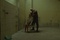 photo 8 du film incendies