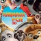 Affiche du film Animaux et cie  - Animaux et cie 