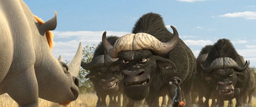 des bufles et un chien de prairie