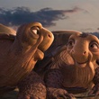 deux tortues