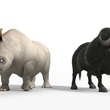 un bufle et un rhino
