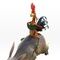 un coq - Animaux et cie 