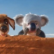 un kangourou et un koala