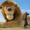 un lion et un chien de prairie - Animaux et cie 