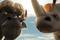 un rhino et un bufle