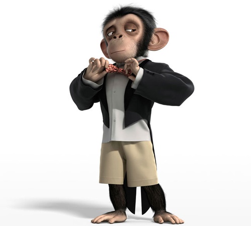 un singe