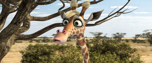 une belle girafe