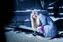 photo 3 du film very cold trip