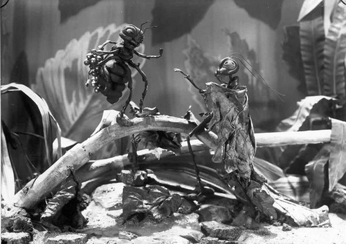photo 3 du film les fables de Starewitch
