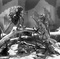 photo 3 du film les fables de Starewitch - Les fables de Ladislas Starewitch 