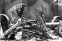 photo 3 du film les fables de Starewitch