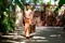 the-lady-avec-michelle-yeoh-jpg