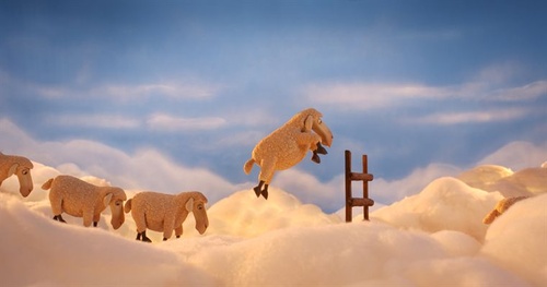 les moutons
