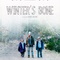 Affiche du film Winter's Bone   - Winter's Bone  