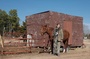 jennifer lawrence et un cheval