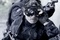le gign