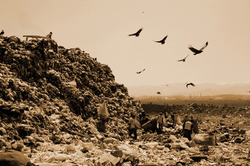 photo 9 du film waste land