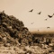 photo 9 du film waste land - Waste Land  