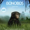 Affiche du film Bonobos   - Bonobos  