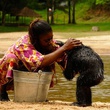 photo 12 du film bonobos