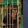 photo 2 du film bonobos
