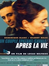 Affiche du film Après la vie