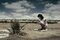 desert-jpg