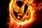 Affiche du film The Hunger Games 