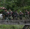 armee-jpg - Les couleurs de la montagne 