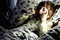 ty-simpkins-jpg