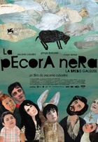 Affiche miniature du film La Pecora nera (La Brebis Galeuse)