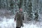 photo-4-du-film-siberie-monamour-jpg