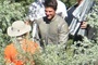 on-the-set-with-tom-cruise-png