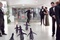jim-carrey-suivi-par-ses-pingouins-jpg