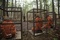 des-hommes-en-cage-jpg