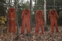 des-vetements-jpg